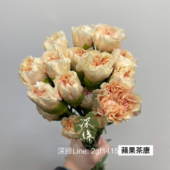 bcf993e867b603c435b8932ef1f8449b706208d2
