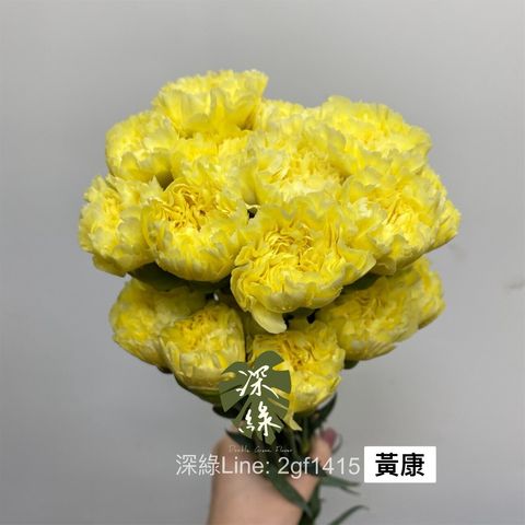 a3a4225e0a557bfe0468476bf440083768ecbe0b