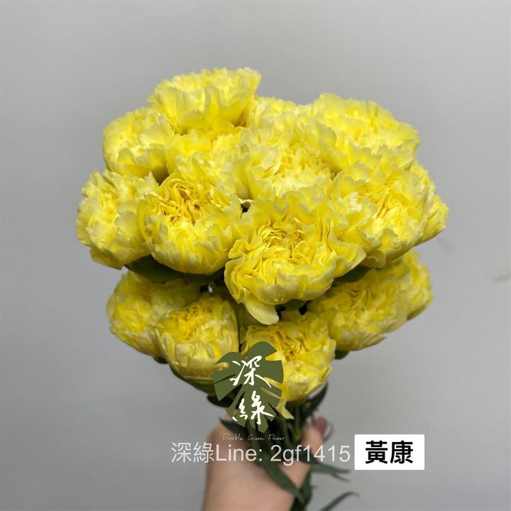 a3a4225e0a557bfe0468476bf440083768ecbe0b