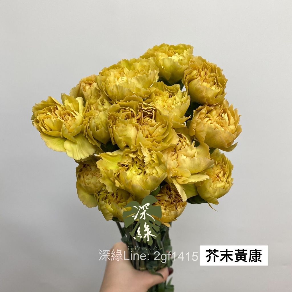 LINE_ALBUM_大康_230915_1