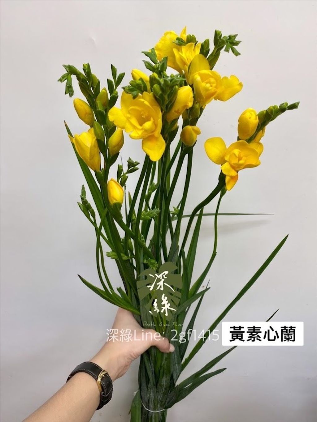 AIL4fc-bia5arg3R6_tboKDBwfbH-54hIwP0IK8lcplrpTCy7mi2t6QF48UiTEXIEdL3FYvQr6hjdyWqUqtQIFWswp5B3zC7R6zbMz_qMKZErrxGaVenIFzzziN06IyJKWhnsA4NzyG0UQzVNj0UXqs6PWIl=w634-h845-s-no