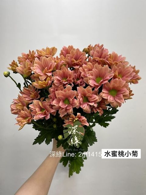 AIL4fc8_szXq0tNMKh2MVnF9y1x1X_SiIdVVdqOJvZx5_u5jqXWLkReOnjpAWKhB-vFmapE2ohY-BxogbCef25n2FS0IWia3lP-9hXjMSIfghZRdTSbpPZUG5VUCv1qyxlicLJGH0W1MrQ4u4SJOjcClb_ud=w634-h845-s-no