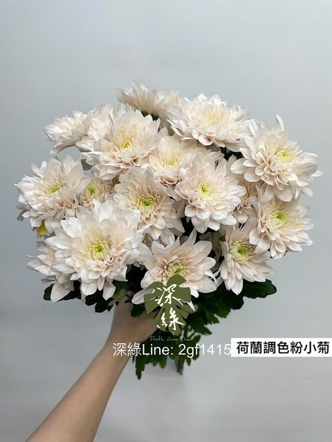AIL4fc_audo_GUeWVNBWCk2mgSIEohmhXRHr7CsWOvGEVBa57sekL3amRt8PD7xXTNxuoAKjT7PP_mBCWk_HwfOHsFkPSvgRSI5KouSa-nwhUUIzg43sCxFswNvZZABVPuDDjj-FXpvqgJupHXmsn7ORiaJf=w634-h845-s-no