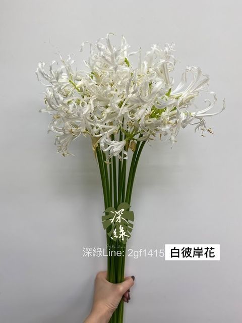 AIL4fc_19zJ6H8xegAV2GGyWxZzl4GfRNdWRQ6jJ1kEN13QKHNiChlXDPnLpQzImqoFtoIG7Le96dVOKjbOfOsS5l85bd8fnQmJwv4Nq_I0SVFePBry1vr8VtCxJubnijjC2v1F-g2B7FmgNSuzHZ5cRe49a=w634-h845-s-no