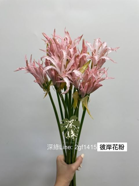 AIL4fc9xe4832UbCQkBeBb04mJSqggqxgy8Od35whC-FG6t_FhZKn-RvY6usmDepNz3A8ibNYgR8I3AHTB5D3D3i1x6xjWHOCx01TgHiy7kjDIlB-i1kv_yyu838USi6JzkG7SVD3zWfSxAQgLTcRYdUEWaU=w634-h845-s-no