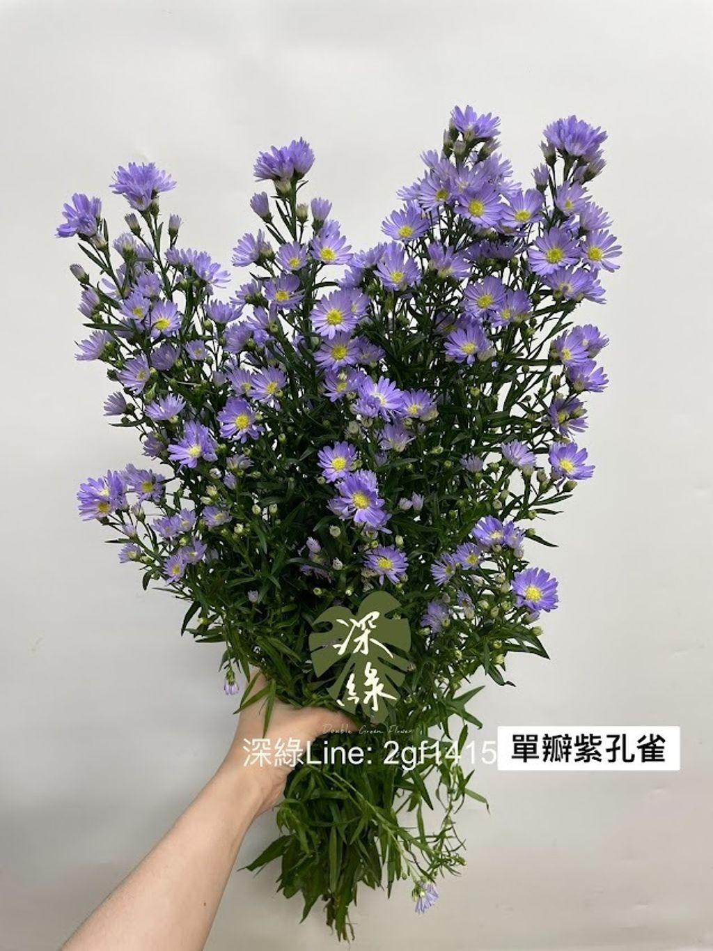 AIL4fc9lnpM5lQ3MMn3cQJpgEHZet2gFoDFf0FRc08z9myyRYDjGFKA9KrdyhZ8_vTDpBg1B-YZHXN4nYWTfu13R3TWp8-NqVKS2TkPpktOiMvina3spMarWMFDMcK1EgZO8avlClJJNhXioGMgT4qf0ZdR1=w634-h845-s-no