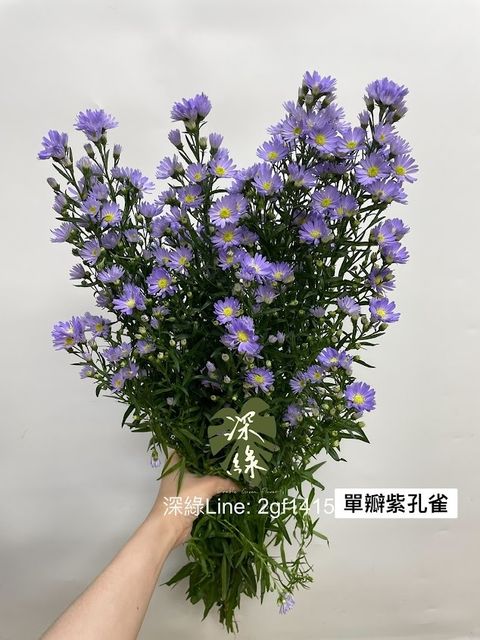 AIL4fc9lnpM5lQ3MMn3cQJpgEHZet2gFoDFf0FRc08z9myyRYDjGFKA9KrdyhZ8_vTDpBg1B-YZHXN4nYWTfu13R3TWp8-NqVKS2TkPpktOiMvina3spMarWMFDMcK1EgZO8avlClJJNhXioGMgT4qf0ZdR1=w634-h845-s-no