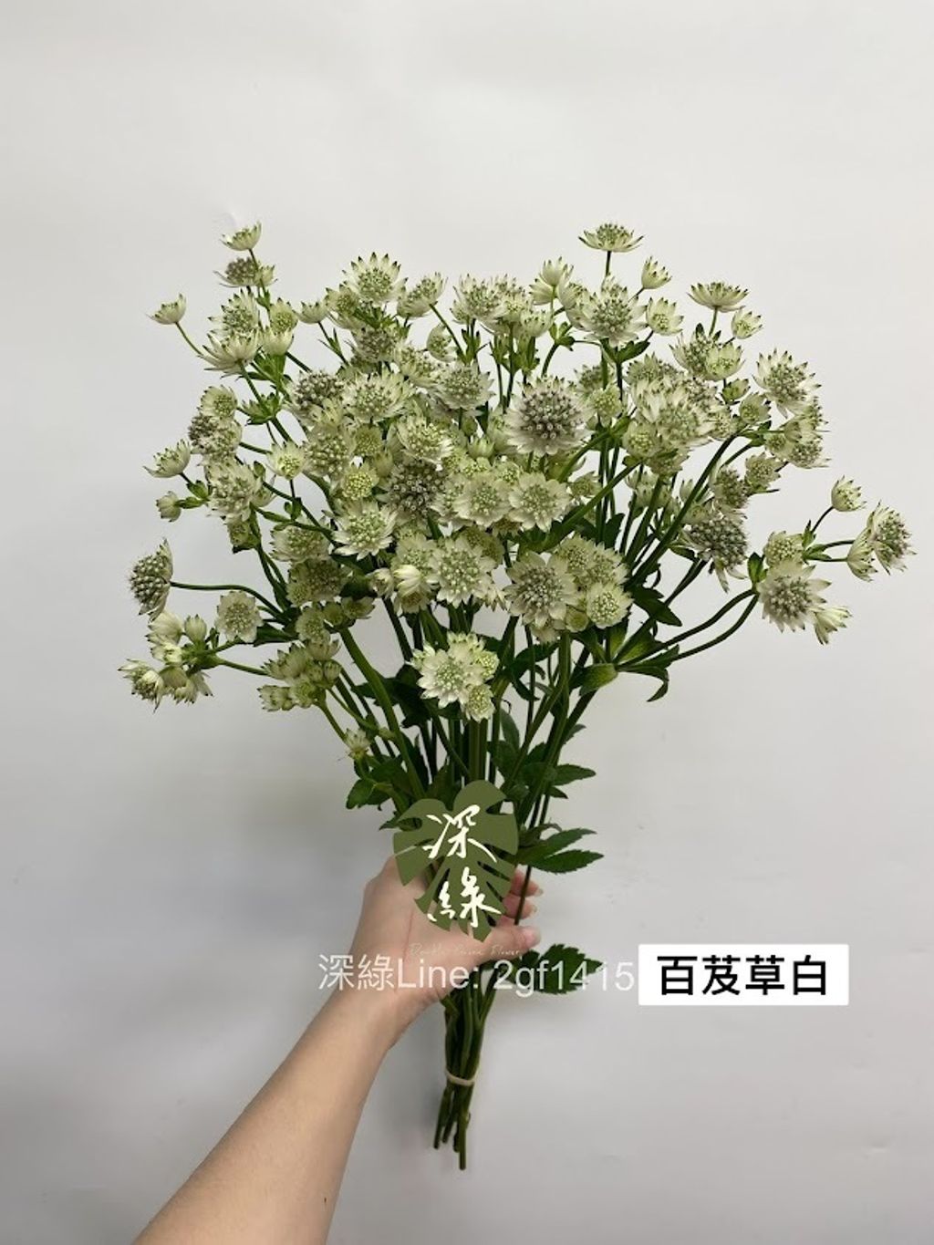 AIL4fc_p8EDBQbzYDzhecjOYhsrjiorNjCFRlm3zx7thLuCJC7Fh09VJVwnsrkMGKhy7ibS9pxQQZZb-mjGM6zw9O2VxiF5YezZA-Mr2BhcX-qRrnxt_gG3GsCWsrgioF6-Upwck4Cft1-7KVV9RTV5pzMCm=w634-h845-s-no