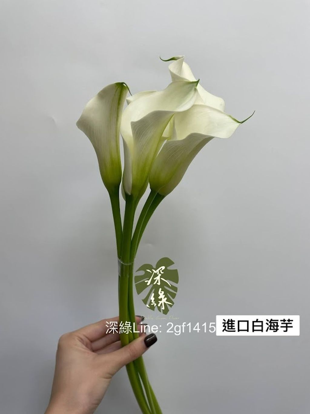 AIL4fc8zypWKKYIjZsWtJ1fOhYFhE401F4K1feixLzlFTRrEUQ3dGOS9HxhCMGghGJgvqgHReyTbzQCz1Wo1n2j7H-vBevHyUD6M3JiCpz1KUeHupnEBStbvxXziRTPK1gEP0L2qzhDdnm2NQ0nc1VeGfsmQ=w634-h845-s-no