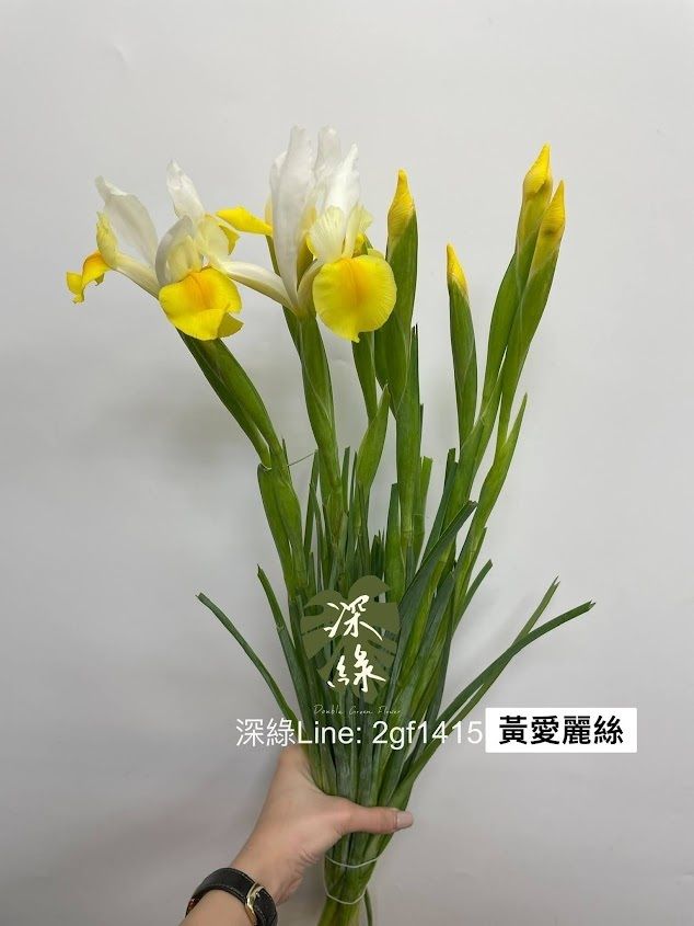 AIL4fc_O2mtUkQ_ytgjg40bcpl0_lplDiISYLTAc-Xe0VHB9uguxfqWTAWYHr3hRa4JQ5fYlMUiUDMQqS5DSp8SVIyBk2lhmRnz_WAy0l1ewRAOGWxGnwizGJKC9b79MuVTzXFabdAgeLDn2TYU-8RkKLpHR=w634-h845-s-no