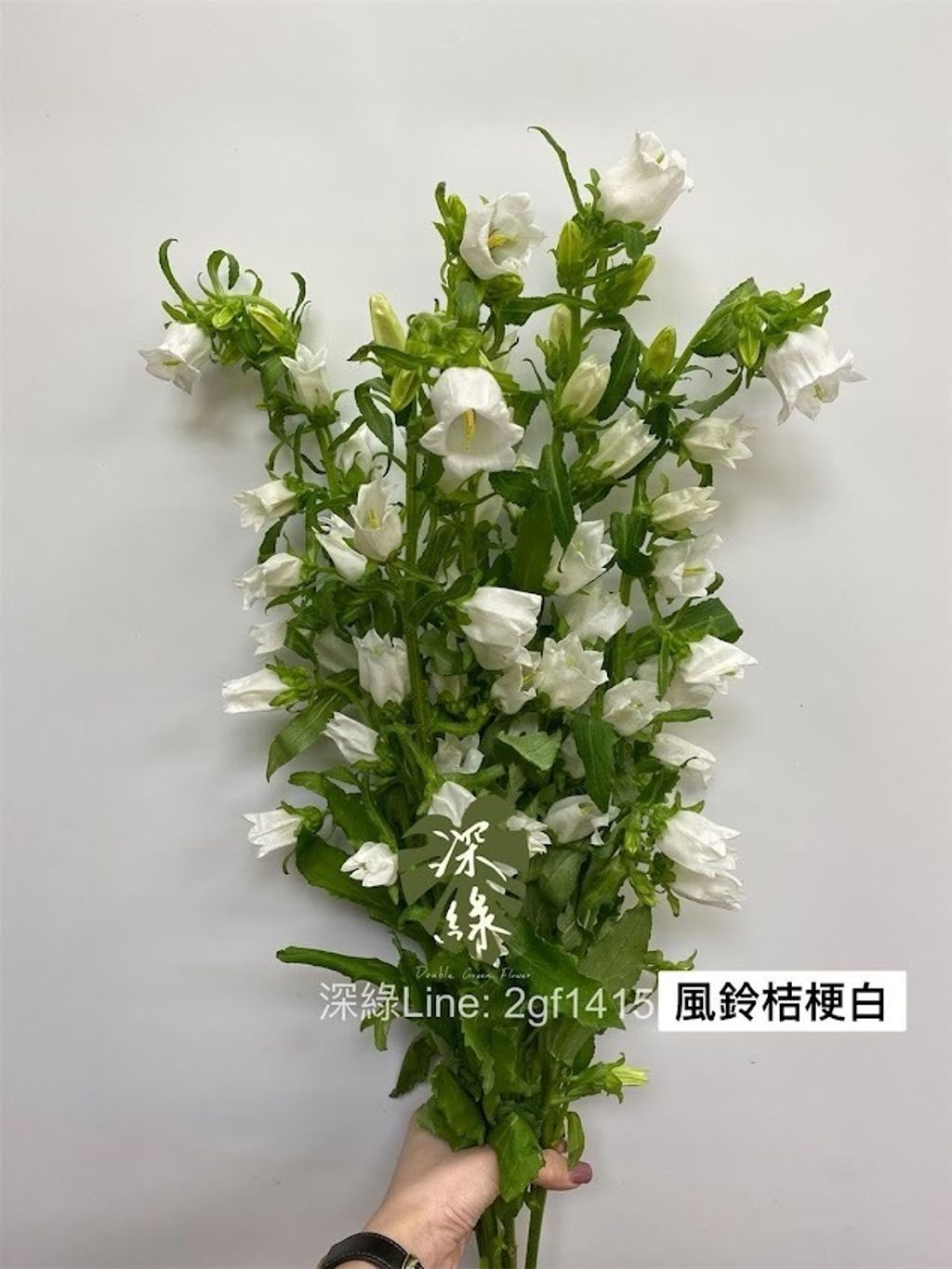 AIL4fc-G1HtnSMCSbxevNHsTdUkp9Zy8mOQ94blhirQX5iiLWKFocVk-CTlRz70U0LGfM_zvoO2JYX0H0q9-fQenSLEmioJFd_mSCQL_o8qOycu09gnX918V7q6J2YmKJqV0cJs81mBrcSjz2v6z3CQGhypq=w634-h845-s-no