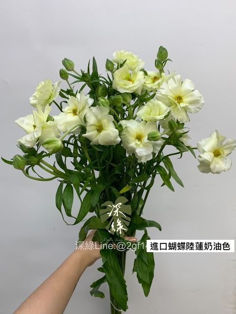 AIL4fc9esKt2ym3Gq25cMk_vrWz_FqISfd7qcNyZQjpThTW-F7xPoX6UsbzVZjJUbRgoQAUioeDCZgH6Qj5kg4xDriFZRR54s_IZ-7_Y36tzqyOtWcFpmofnffBI95GaDTU4O_wHxOzizrbxYJ6Kckx4SAIC=w634-h845-s-no