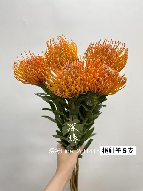 AIL4fc-Ibu8u-sZr2lRH12MUkfpyz_l6CgmWMGR_zEnPUmvVSUEOgsUZKMPvR19azt7p_WcP0NXILhr5RnjRNiwzWie4ysTM8SEZd0S2KZAPPVh6yhpiM0CtccTRxeRpwV6uSWL272t2S0Ajc_noTEVcRXRh=w634-h845-s-no