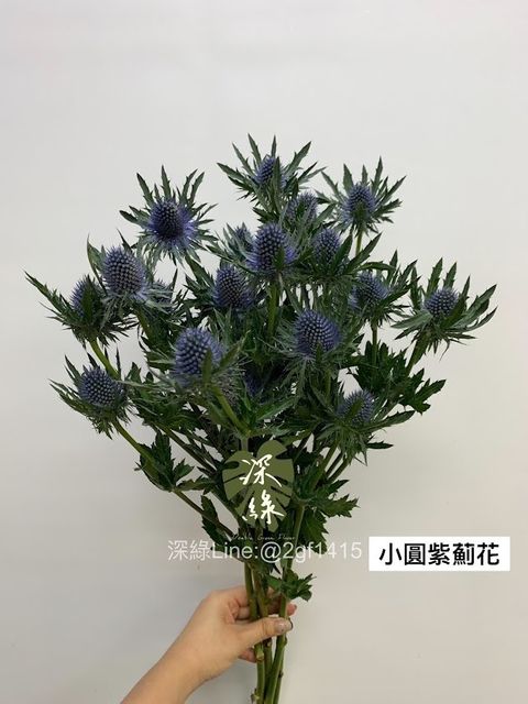 AIL4fc8veIpCssxUj0_2R5j4KFdeJYRaM7OzZAfZYYVuwOXES4OywETWvYw98nMeRpq0Ul53hGeuicMVASCSFlGWYn1sdtaI_gcvSwh20MqDchcRUIb_ibjFbMi0DTHJxzZMOS4KcEhw8NvXu_ejGwCeR5Sd=w634-h845-s-no