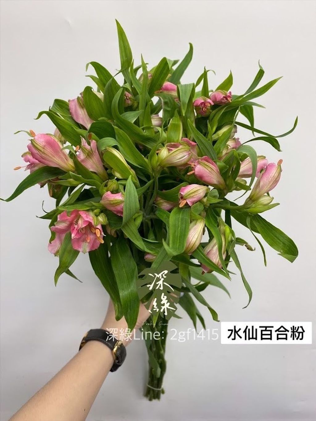 AIL4fc-tD5S-H00AS0jDu46n-Pw1_QBKn7uGIF6Epv9dkN8exeP3XkCDP-fsXG5Mp4sbijqukkgOtJzMG1qPhmk2S-HrDdq7hyh_kPh2QUk9bvzSpwl8MChiAowkmlwcDKPYhAXHLaKYQayYbBaWMqhLLg3L=w634-h845-s-no