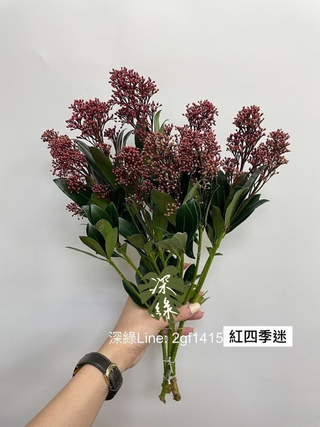 AIL4fc84_VnXakQVHXP0N7x3ppjRQWFjv46S8yG6_Lt4DpznIstkt44A0x8PvvJ55tELozK5LtGKYc_W07z0pP7g4MTZV2v9oWWsuPtzlnY8_rDk8_q2IPjlV3BeHWi0DMrENcqgp7BEvR_xpdDjHy4VhMlj=w634-h845-s-no