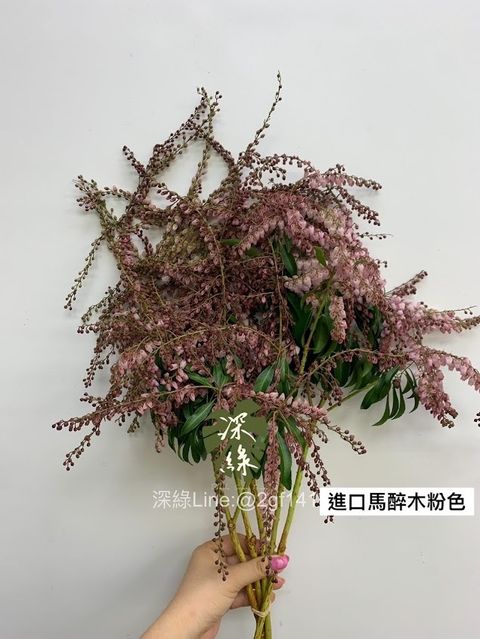 AIL4fc_0uK_ADX5JWsSK7T7A79RdXYJneo2BmUid0npsdNEPAl2fnd8_moyMekM7V4yYY34m1YPFoilHnJ_6Ibp8UJJteba8P_vVKzohHaaGAXbAoQBKYKJzSnH8y6xzhjx-atIeCSDSIOq6t56lXQZV9axf=w635-h845-s-no