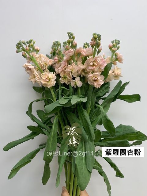 5941B4EF-BC50-40A5-943C-54AACEC9443A