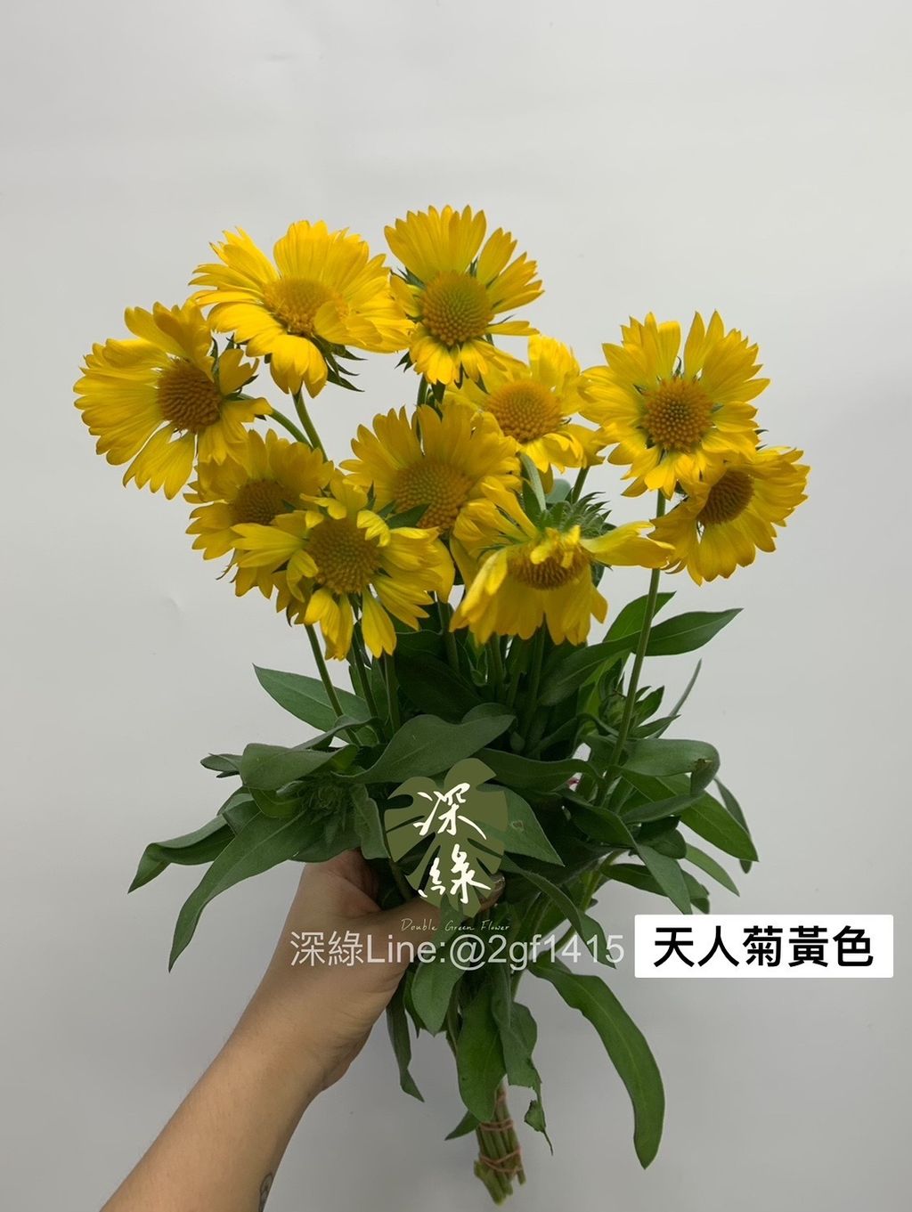 6DD9A4ED-EDA3-45C7-98D3-60FCD74CBC2C