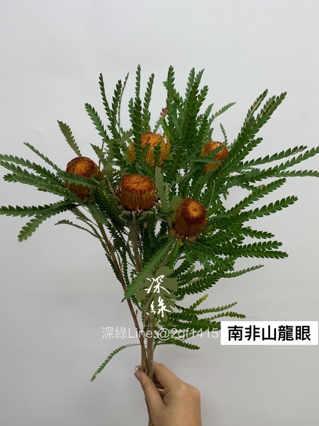 35EF7488-F561-4515-B0B1-D5BC1713AEE1