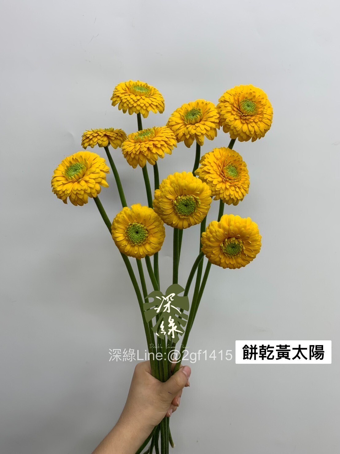 台灣餅乾黃太陽花