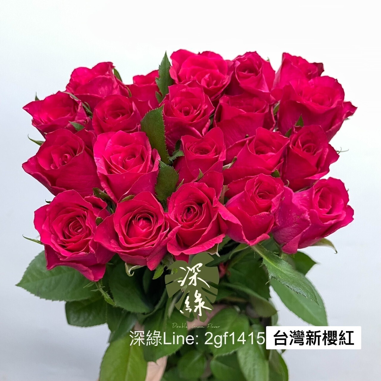 紅玫瑰 台灣玫瑰新櫻紅– 深綠花卉