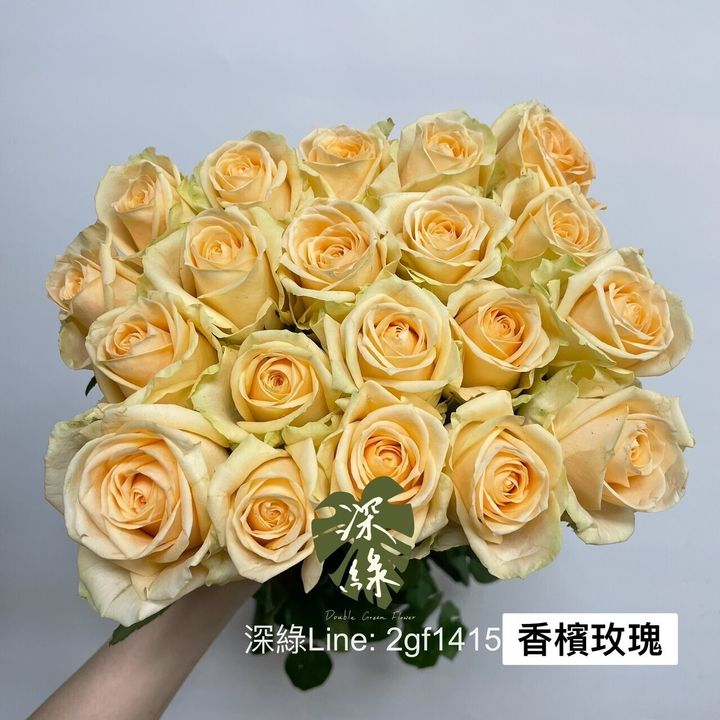 62523207