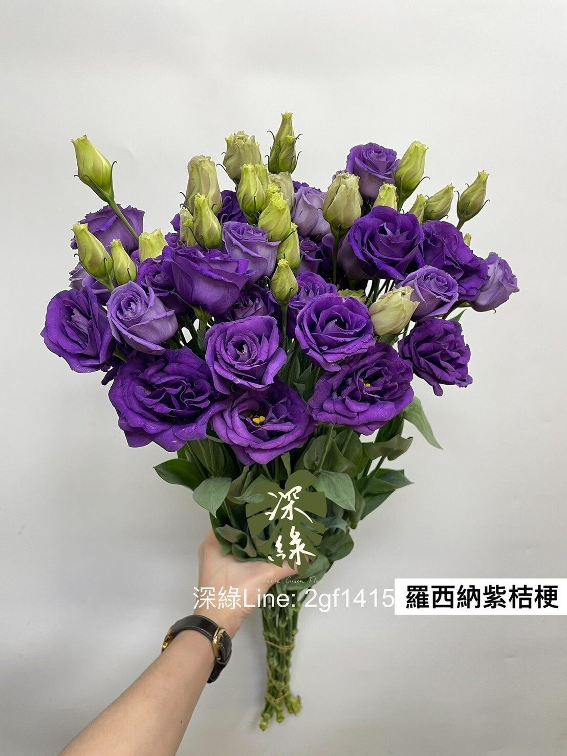 台灣桔梗羅西納紫– 深綠花卉