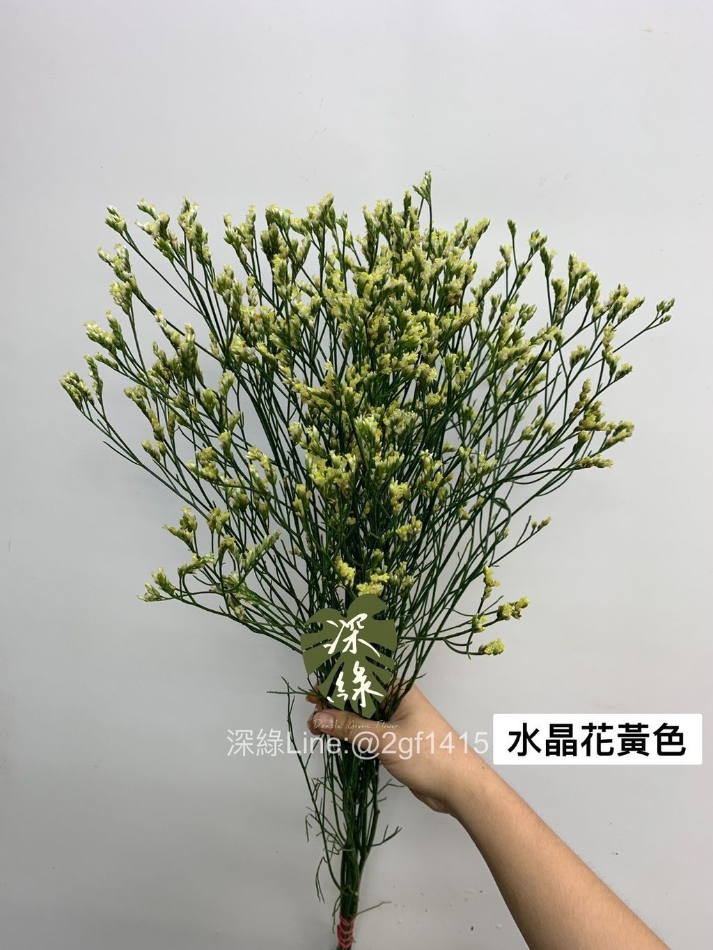 690A0E95-866C-400D-BF33-1A4E69D8C195