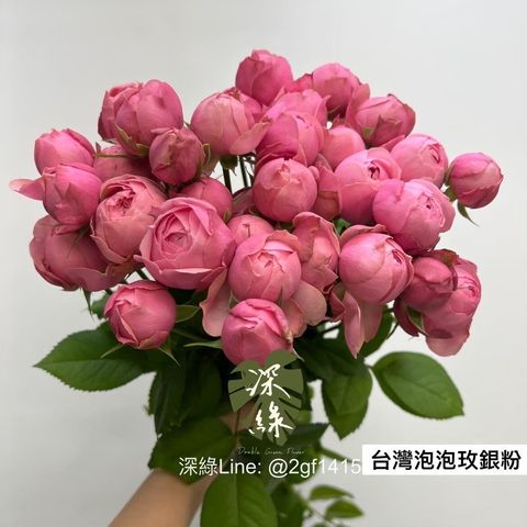 LINE_ALBUM_台灣玫瑰🌹_231014