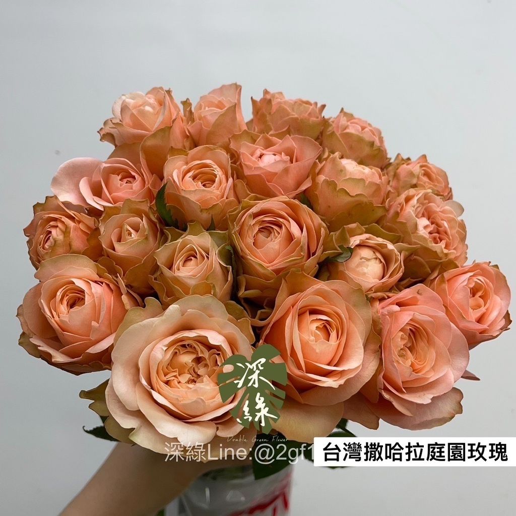C94651DE-2E77-4FB3-BED6-327422A461FE