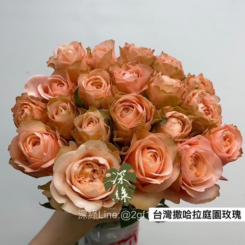 C94651DE-2E77-4FB3-BED6-327422A461FE
