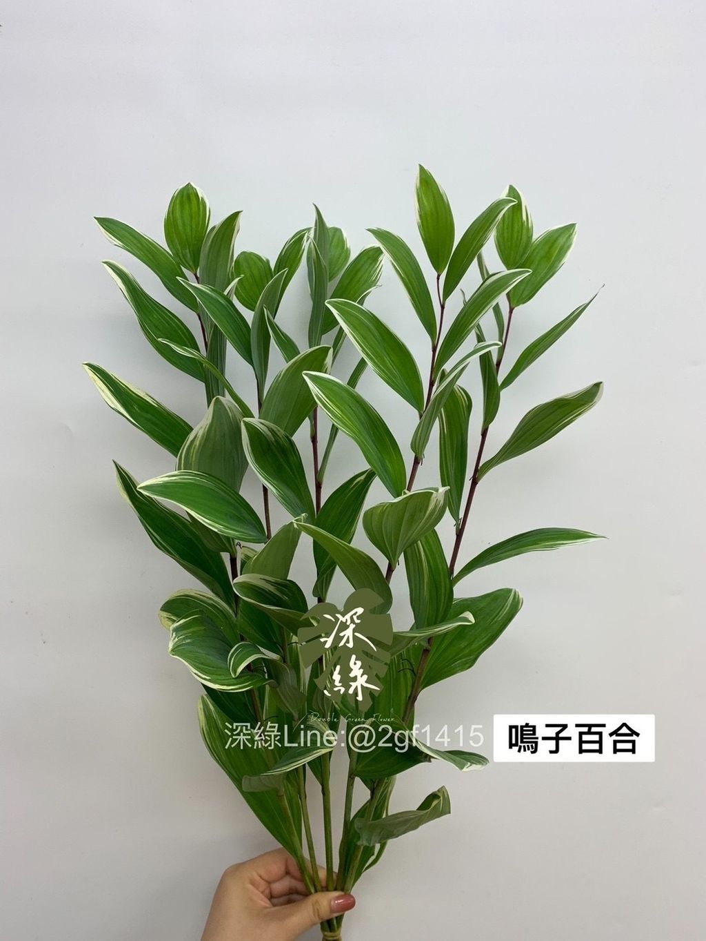 3B9EA1AC-AF2A-491B-9681-ACFED509227F