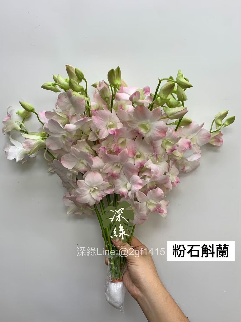 21C78C37-F9B5-4091-B09C-709A98F907D3-L0-001