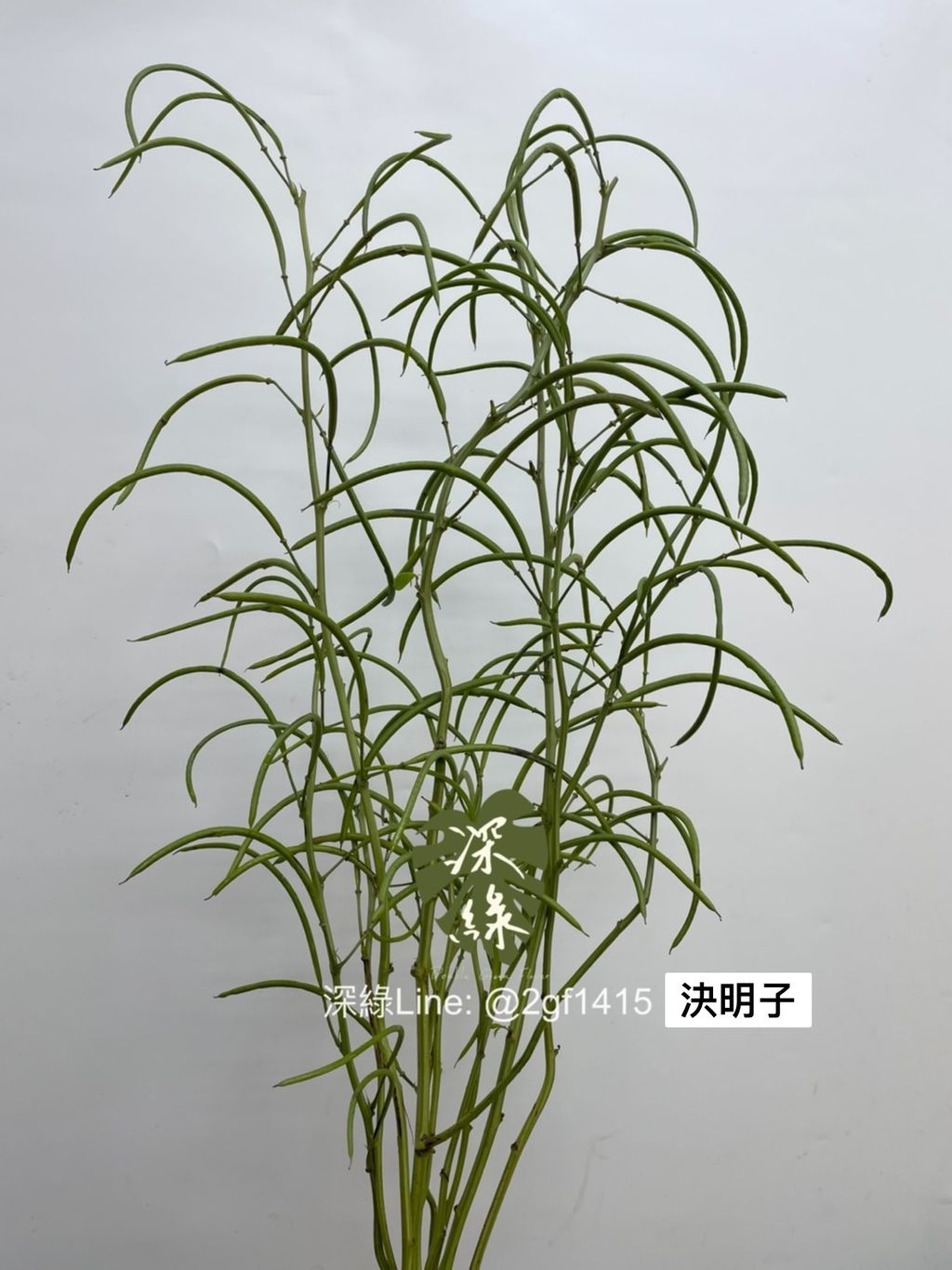 S__2883690