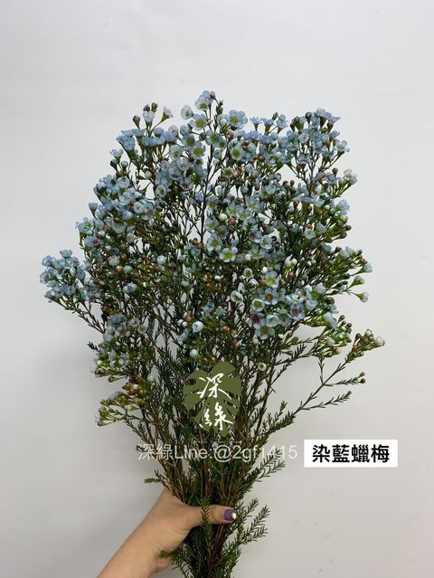 9C1D23B9-298E-4E17-AFBA-D2FA59296B3A