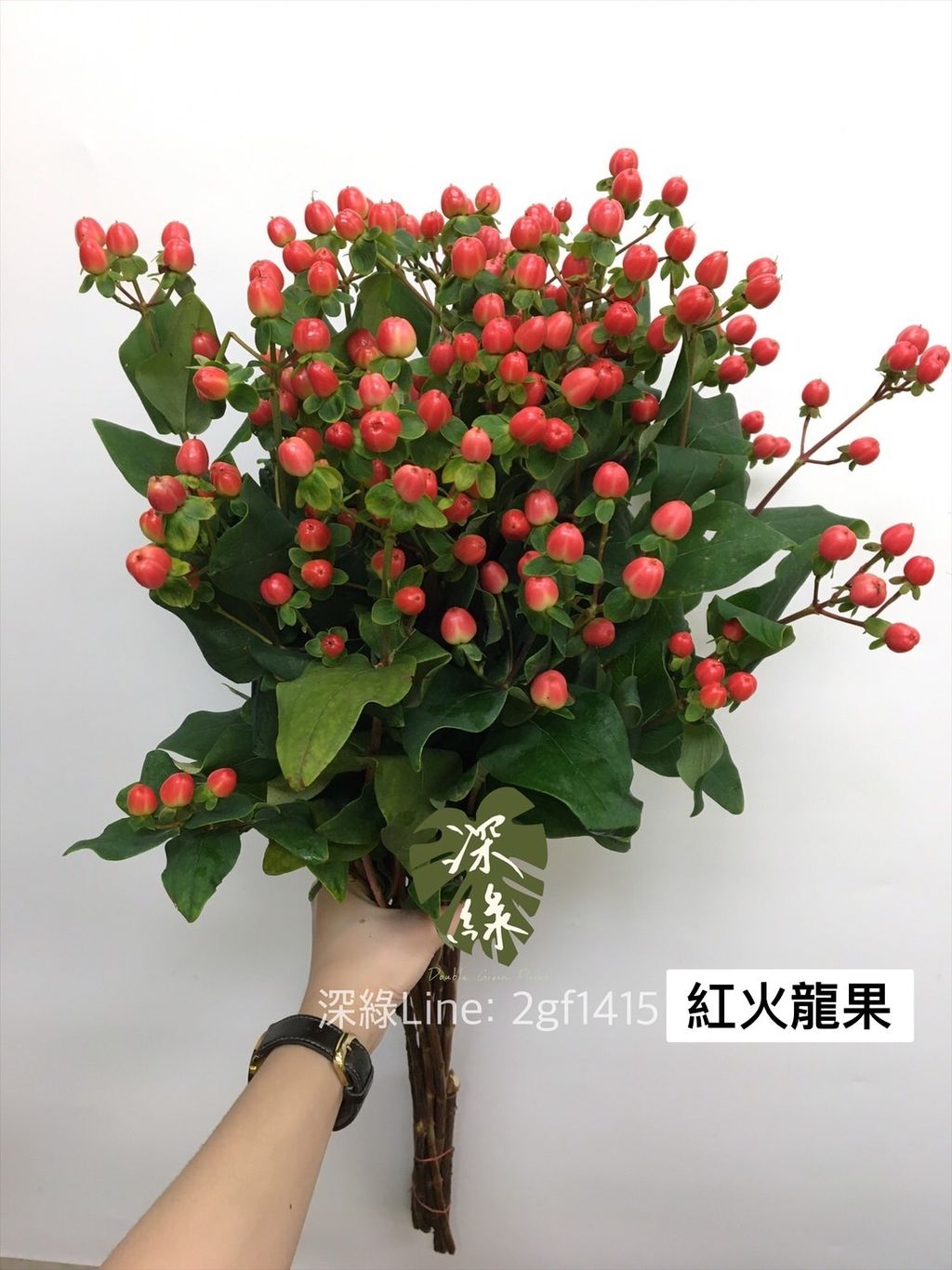 A1B26980-4B9C-412D-96E5-C3A96FDD54F0