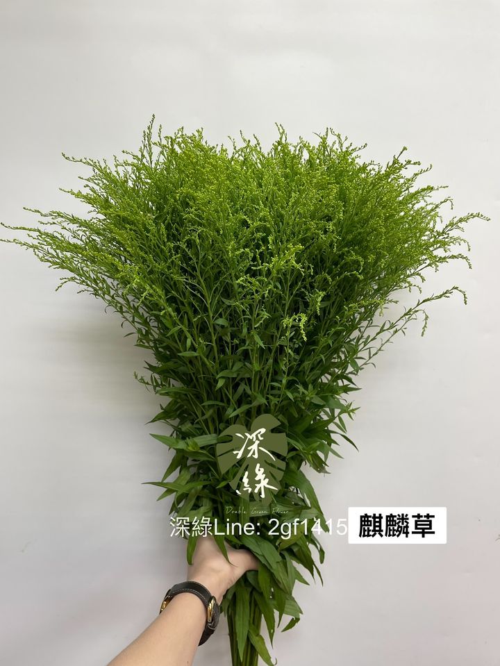 653831F2-1DD2-4494-B3DF-DA36DB5468CC