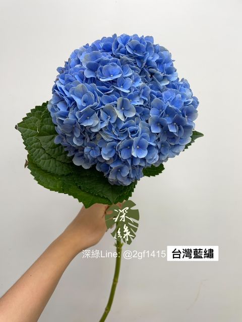 S__2932776