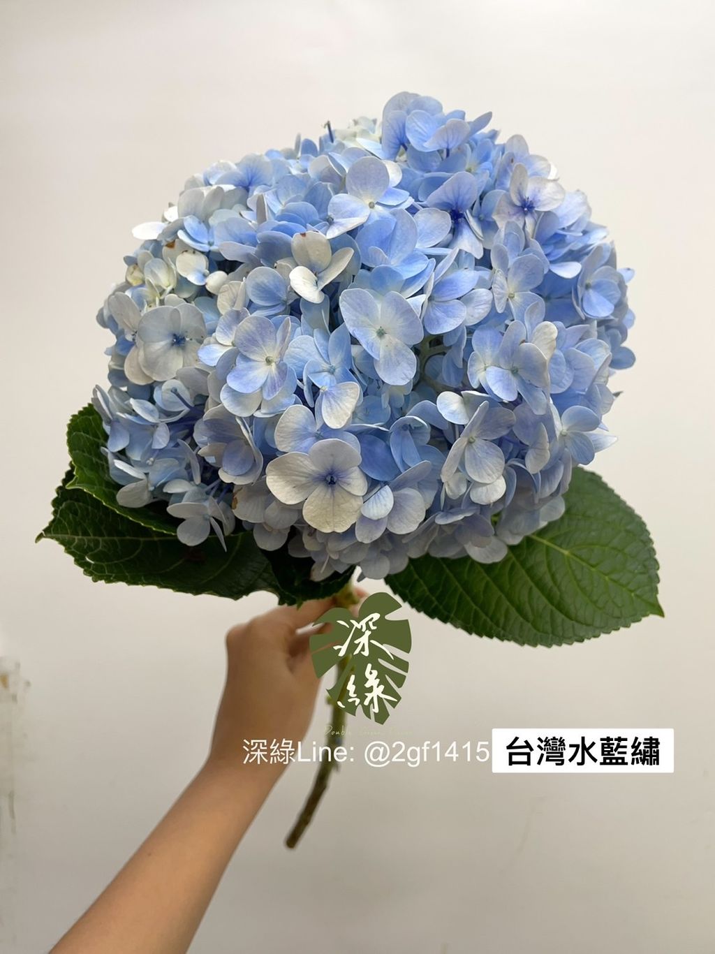 S__2932775