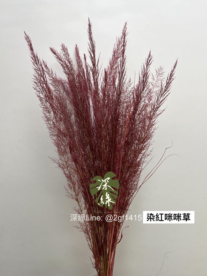 S__2932784