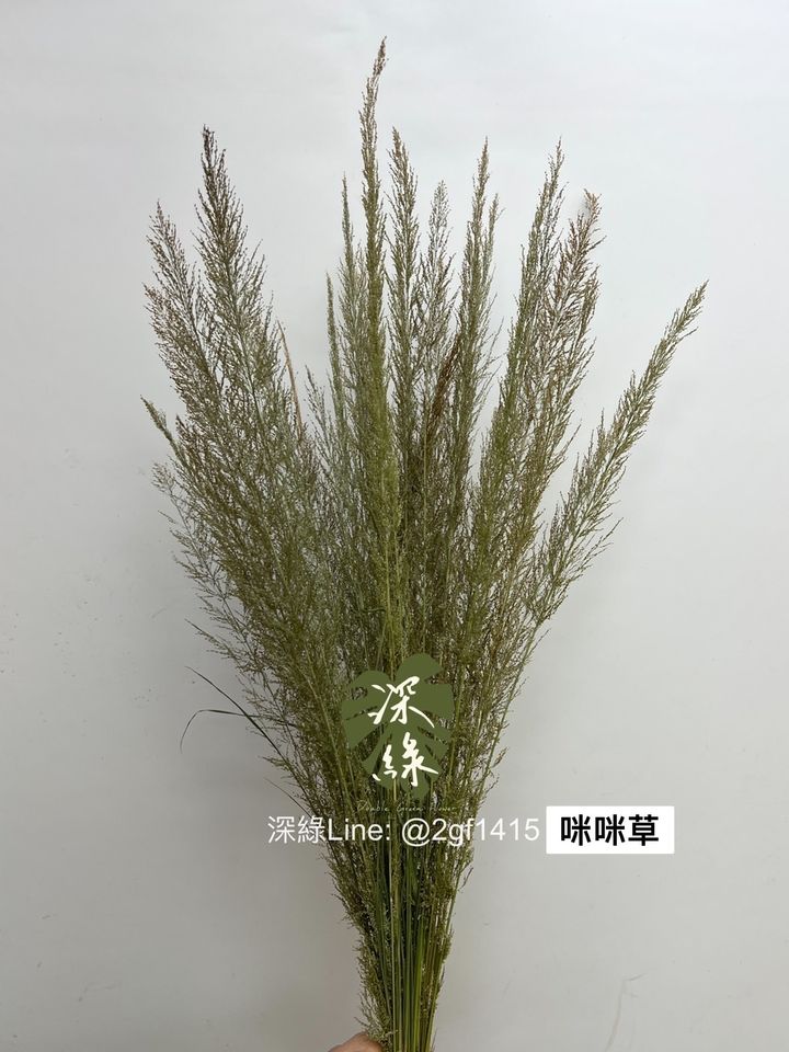 S__2932783
