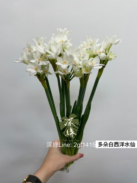 D7739F54-9FDB-4952-B403-DAD16D0A1D06