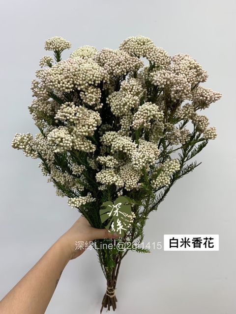 5CB51258-0ED6-464B-8E7C-19AB13B4BF89-L0-001