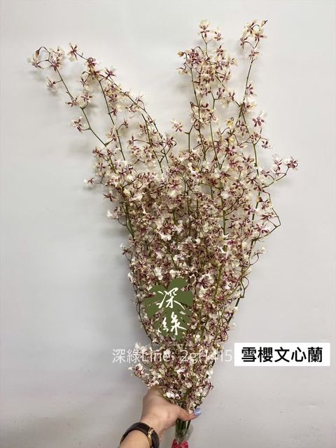 4922983364564777549.c18cdb5886f72fcce0bd03f2b81d49b9.23090308