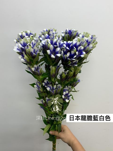 38D85372-58E9-4C8A-AC8B-08BD5E76EA93