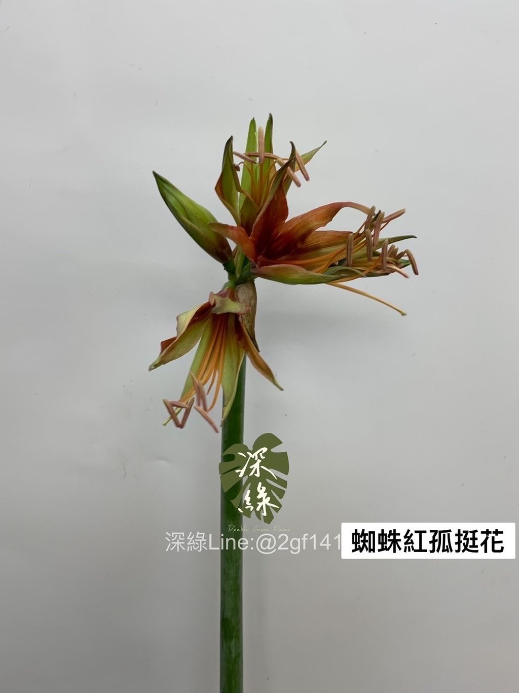 05A04A2B-8E7F-482D-AEC6-C02F8665330D