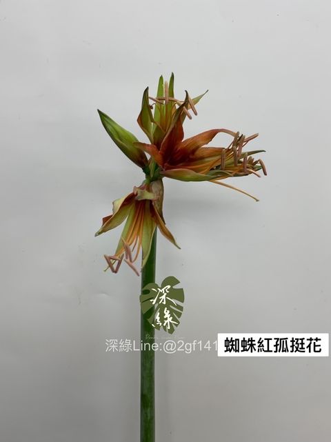 05A04A2B-8E7F-482D-AEC6-C02F8665330D