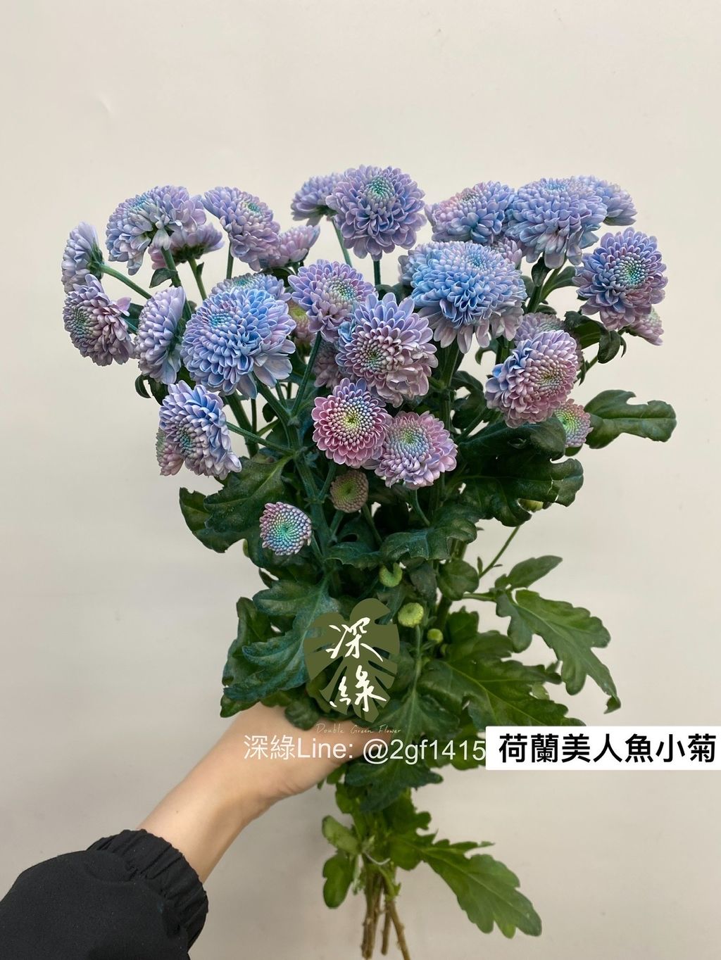 4F20D639-259A-433F-90BC-1C9F5502708E