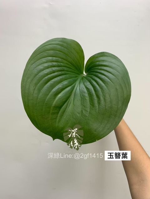 4927449066132121765.ca6b20d8004bbfecb9eb2c3b03b75ec8.23091516